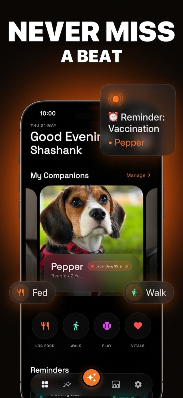 Never miss a beat — Loonee home screen with reminders