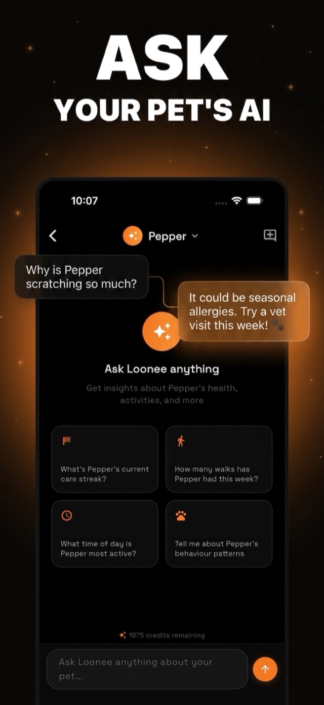 Ask your companion's AI — Loonee AI chat screen