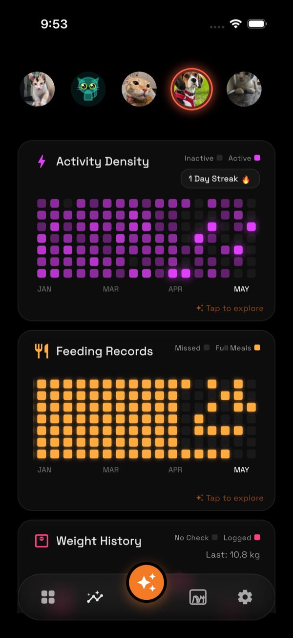 Activity timeline