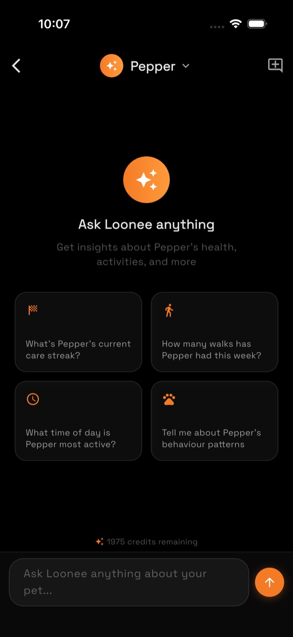 AI companion chat